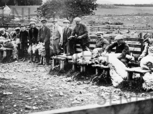 Sheep shearers at Gorthleck Mains around 1930