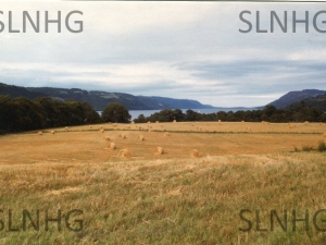 Forbes-Foyers-Mains-hay-1