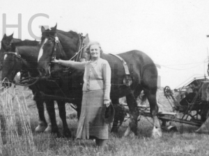 Oat’s harvest with a horse drawn binder at North Lyne  c 1940