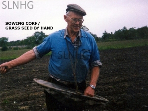 Dad-sowing-corn-t