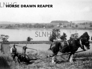 horse-drawn-mower-t-